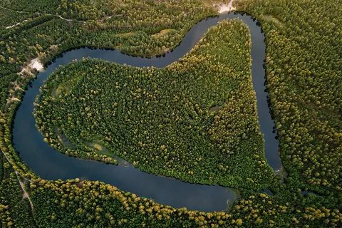 billabong: an anabranch, backwater or oxbow lake that is temporarily cut off from the main river, especially...