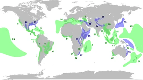 biodiversity hotspot: a place with a significant level of biodiversity, particularly if the flora and fauna are...