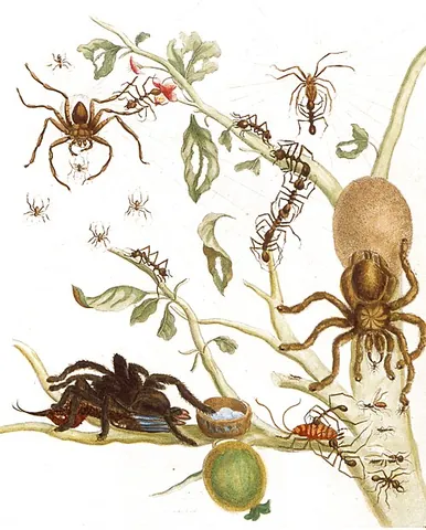 birdeater: anything which eats birds