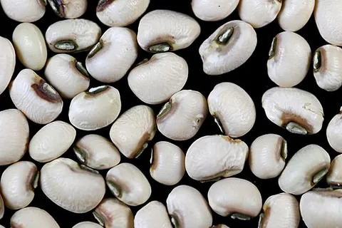 black-eyed pea: an African leguminous plant, of the species Vigna unguiculata, widely cultivated as food and...