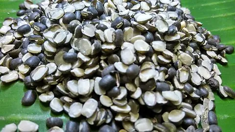 black gram: a bean from the seed of Vigna mungo, native to the Indian subcontinent