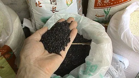 black rice: a type of rice of the species Oryza sativa L. which is black or dark purple in color and often...