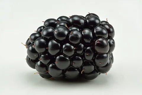 blackberry: a fruit-bearing shrub of the aggregate species Rubus fruticosus and some hybrids