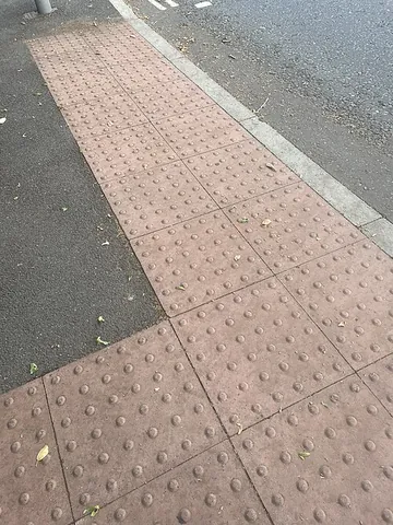 blister paving: a type of tactile paving formed of rows of flat-topped blisters (truncated domes) in a square...