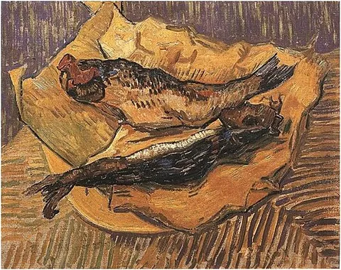 bloater: a salted, and lightly smoked herring or mackerel