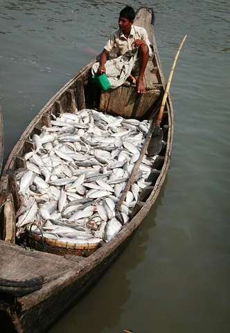 boatload: cargo or passengers that fill a boat