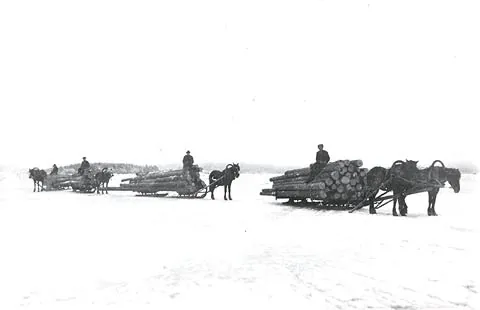 bobsleigh: a sleigh for saw logs or heavy timber resting on two pairs of two short runners