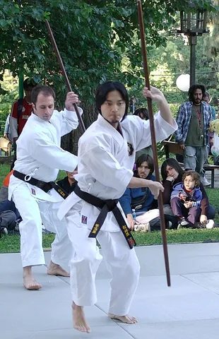 bojutsu: a martial art that focuses on the use of the bō (longstaff)