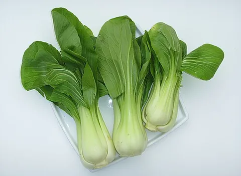 bok choy: chinese cabbage, Brassica rapa subsp. chinensis, an East Asian leafy vegetable related to the...