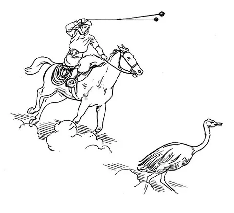 bolas: a throwing weapon made of weights on the ends of interconnected cords, designed to capture animals...