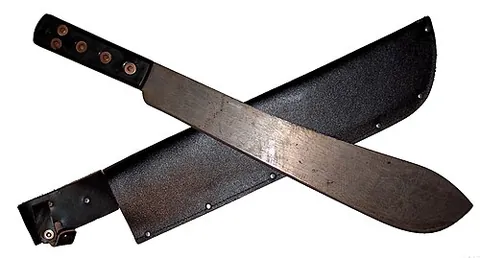 bolo: a long, heavy, single-edged machete
