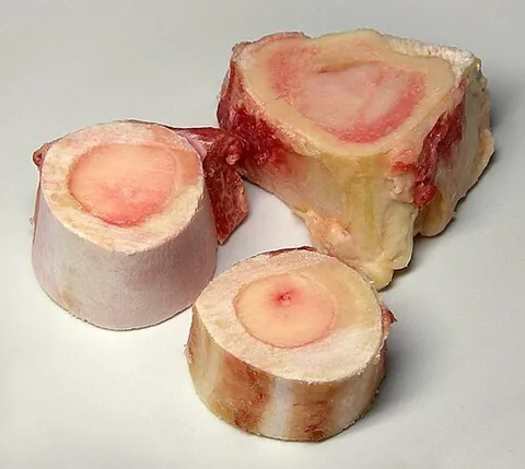 bone marrow: the fatty vascular tissue that fills the cavities of bones, being the place where new blood cells...
