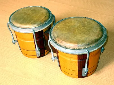 bongo drum: synonym of bongo (“either of a pair of small drums of Cuban origin”)