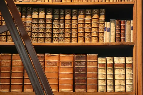bookcase: a piece of furniture for the storage and display of books