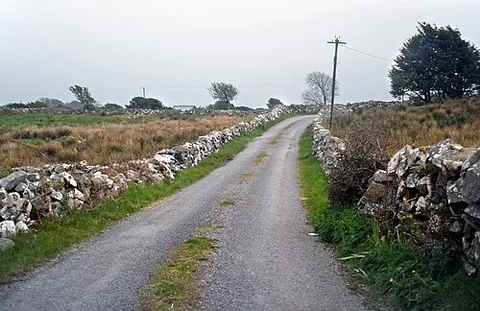 boreen: a narrow, frequently unpaved, rural road in Ireland, often characterised by a ridge of grass...