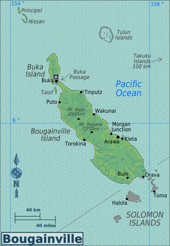 bougainville: a surname from French