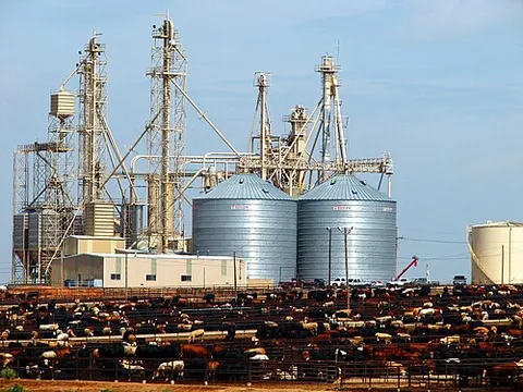 bovina: an unincorporated community in Lincoln County, Colorado