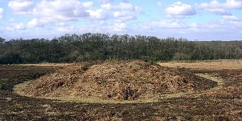 bowl barrow: a tumulus shaped like an inverted bowl