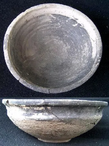 bowl: a roughly hemispherical container used to hold, mix, prepare or present food, such as salad, fruit...