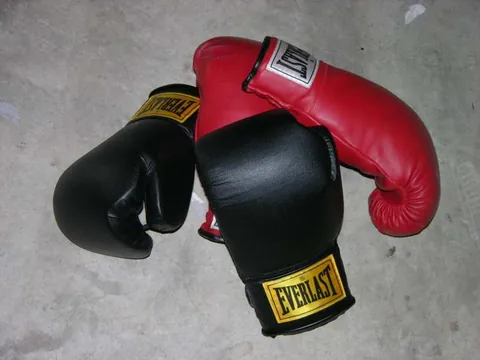 boxing glove: a padded mitten, designed to protect the hand while punching, and worn in boxing