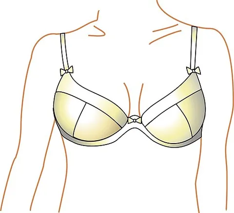 bra: an item of clothing, usually underwear worn to support the breasts