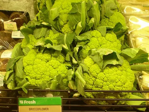 broccoflower: either of two edible plants of the species Brassica oleracea with light green heads