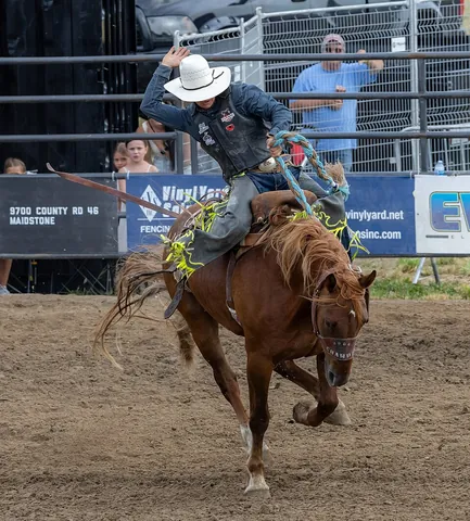 bronc: a bronco