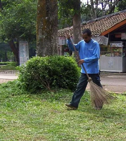 broom: a domestic utensil with fibers bound together at the end of a long handle, used for sweeping