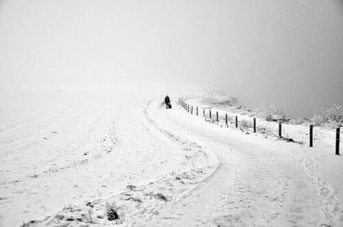 brumous: foggy or misty; wintry