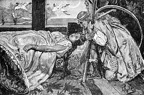 brunhild: a shieldmaiden and valkyrie in Germanic mythology, a main character in the Nibelungenlied, Vǫlsunga...