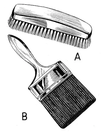 brush: an implement consisting of multiple more or less flexible bristles or other filaments attached to a...