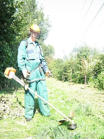brushcutter: a motorized saw on a stick for clearing bushes and underbrush