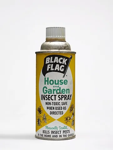 bug spray: insecticide in aerosol form for killing household pests