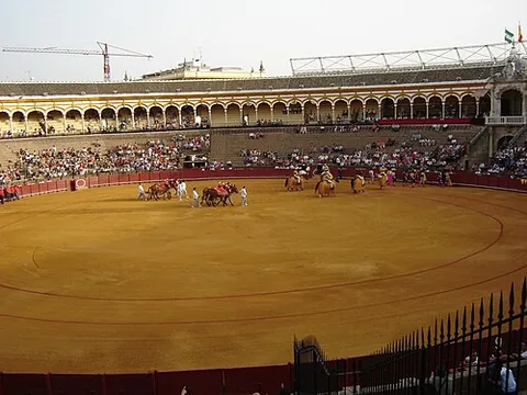 bull ring: the area in which bullfighting takes place