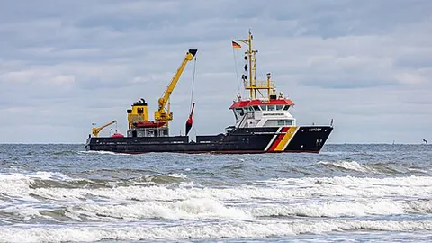 buoy tender: someone charged with looking after buoys