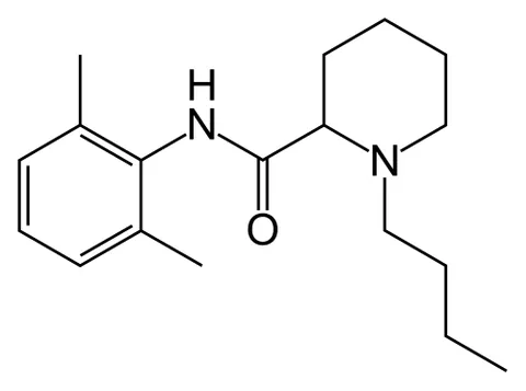 bupivacaine: a local anesthetic C₁₈H₂₈N₂O that is like lidocaine in its action but is longer acting