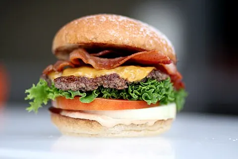 burger: a hamburger