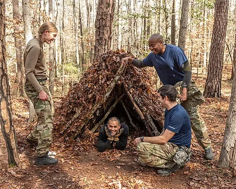 bushcraft: the skills needed to survive in the bush, and by extension in any natural environment