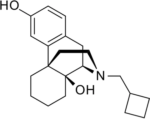 butorphanol: a synthetic analgesic and antitussive opioid drug (trademark Stadol) administered in the form of...