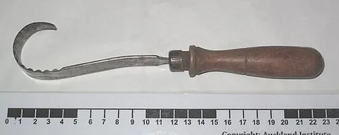 butter curler: a kitchen tool designed to produce decorative butter shapes for use in food decoration