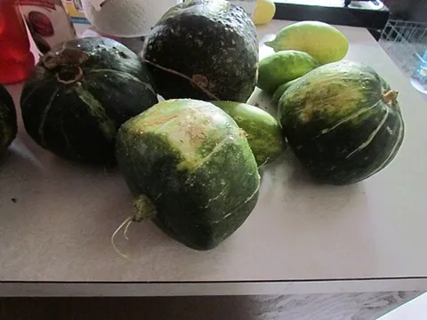 buttercup squash: a variety of squash with a flattish top, dark green skin, and dense yellow-orange flesh