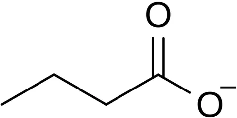 butyrate: any salt or ester of butyric acid