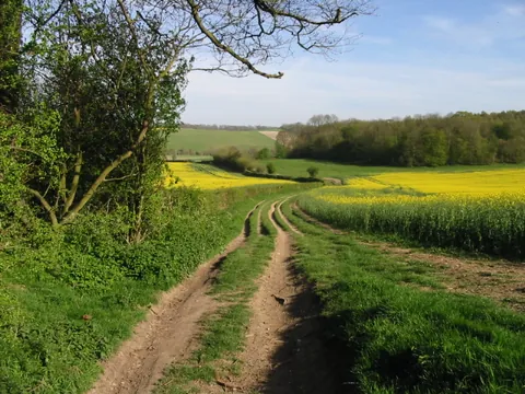 byway: a road or track not following a main route; a secondary or minor road or path
