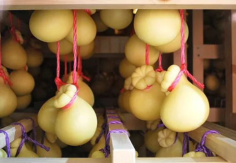 caciocavallo: an Italian cheese, similar to provolone, originally from Sicily and the South