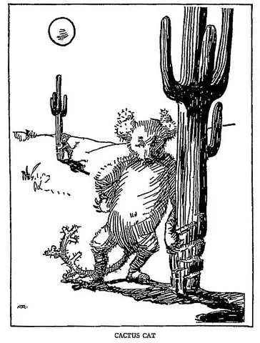 cactus cat: a bobcat-like creature in North American folklore, said to be covered in spines like a porcupine...