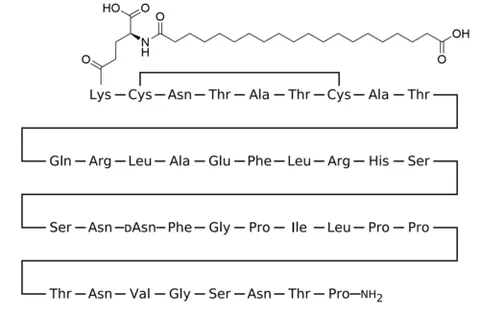 cagrilintide: an amylin analogue medication being investigated for the management of obesity and type 2 diabetes