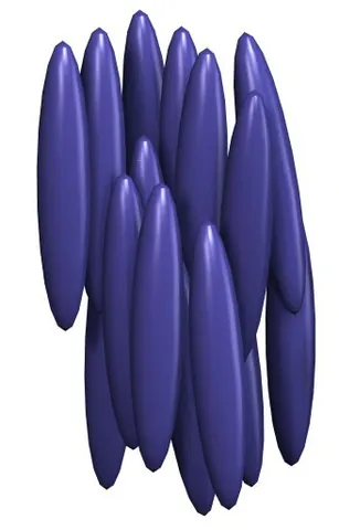 calamitic: rod-shaped; long and thin