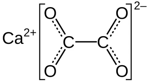 calcium oxalate: the calcium salt of oxalic acid, Ca(COO)₂