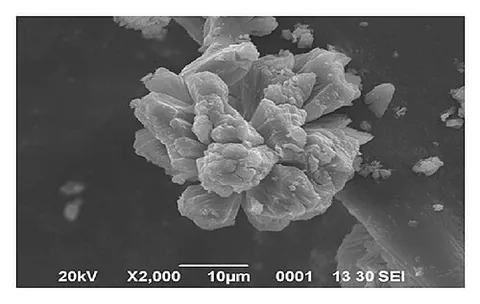 calcium oxide: a white powderous substance, CaO, normally made by heating calcium carbonate