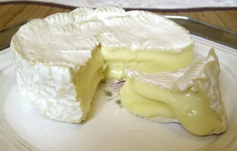 camembert: a soft, creamy cheese from France made from cow's milk